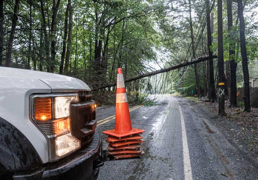 emergency-tree-clearing-2