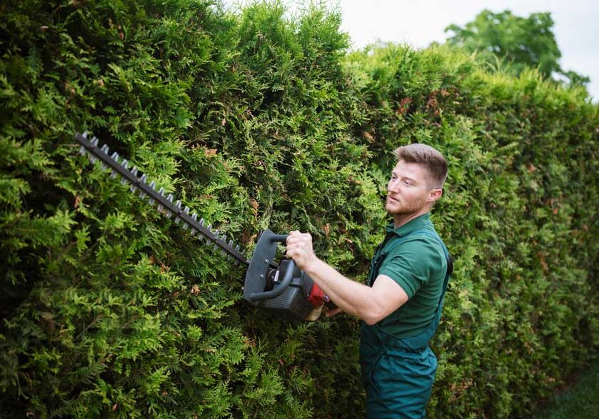 hedge-trimming-nelson-tasman-1 hedge-trimming-nelson-tasman-1