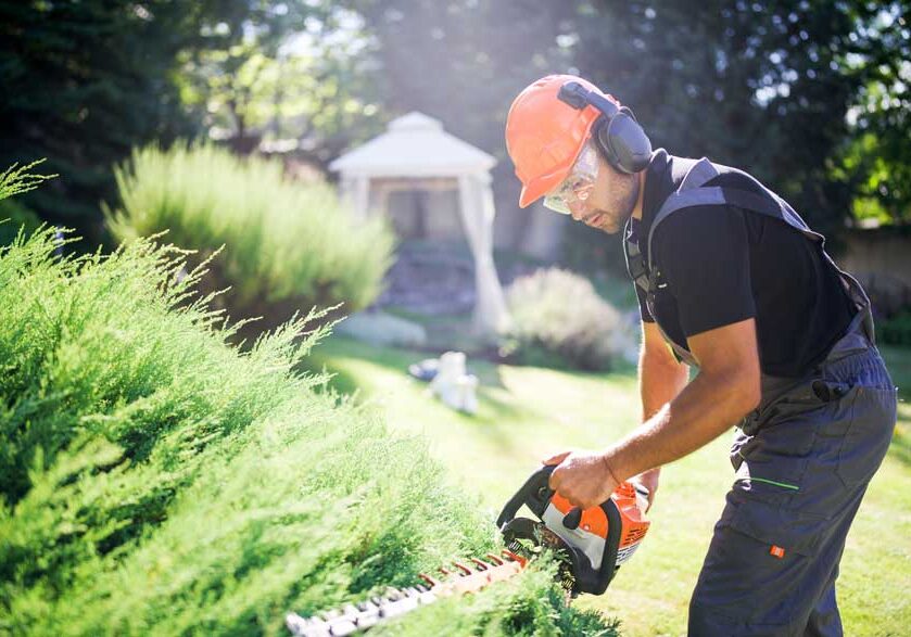 hedge-trimming-nelson-tasman-2 hedge-trimming-nelson-tasman-2