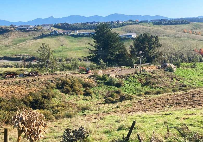 land-clearing-services-1 land-clearing-services-1