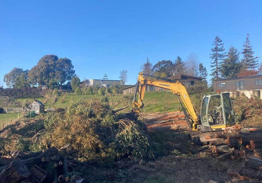 land-clearing-services land-clearing-services