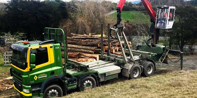 paramount-forestry-services-1 paramount-forestry-services-1