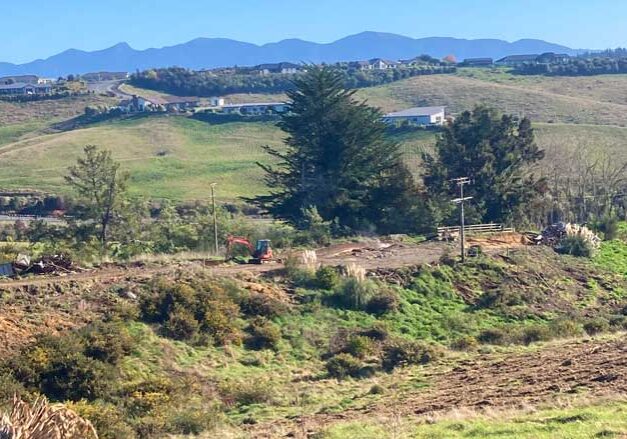 scrub-management-nz-2 scrub-management-nz-2