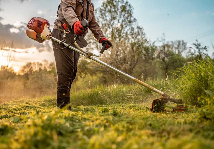 scrub-management-nz scrub-management-nz