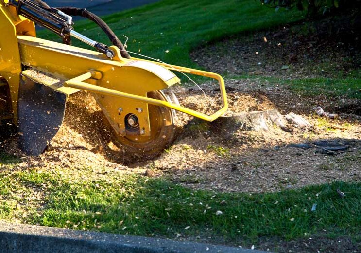 stump-grinder-machinery stump-grinder-machinery