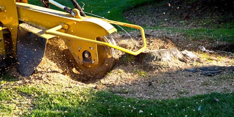 stump-grinder-machinery stump-grinder-machinery